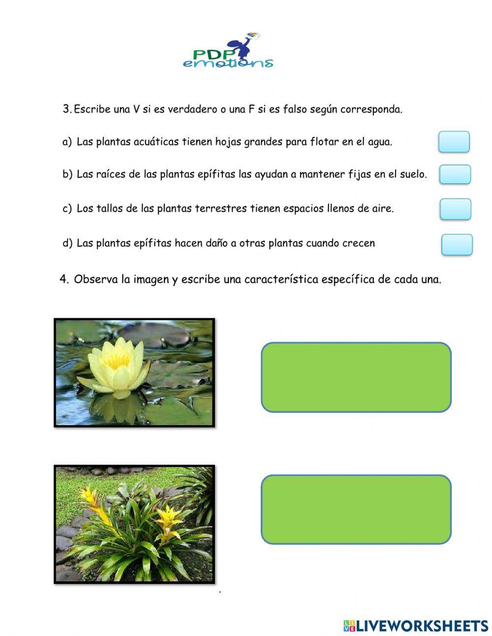 El hábitat de las plantas