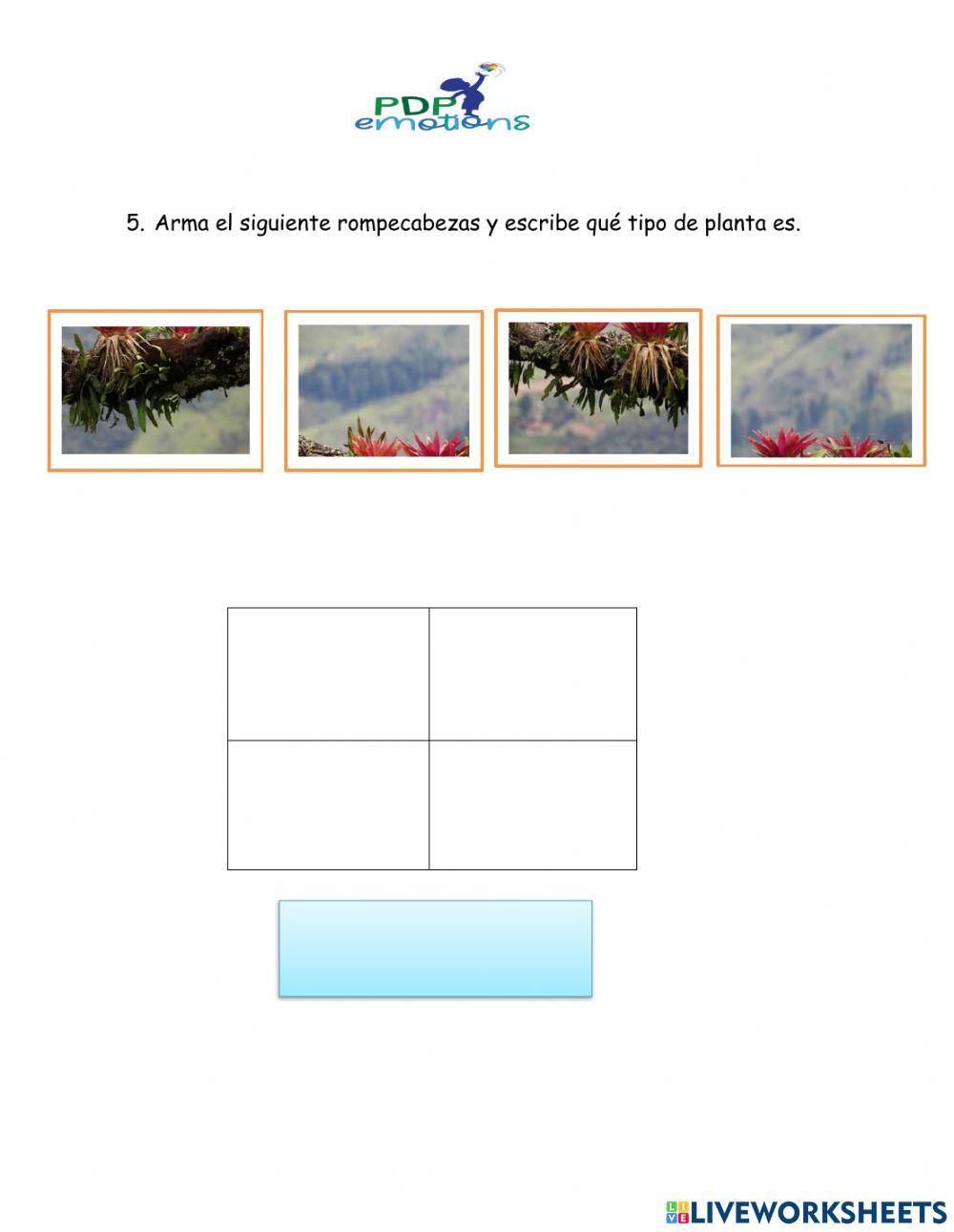 El hábitat de las plantas