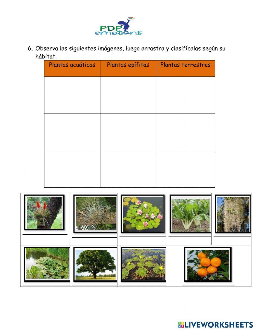El hábitat de las plantas