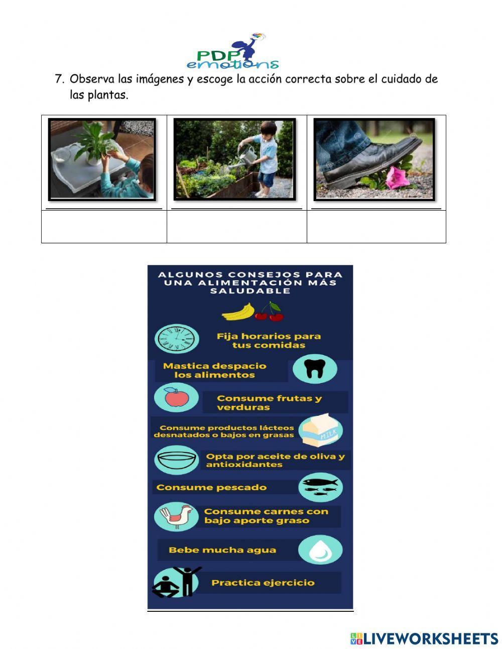 El hábitat de las plantas