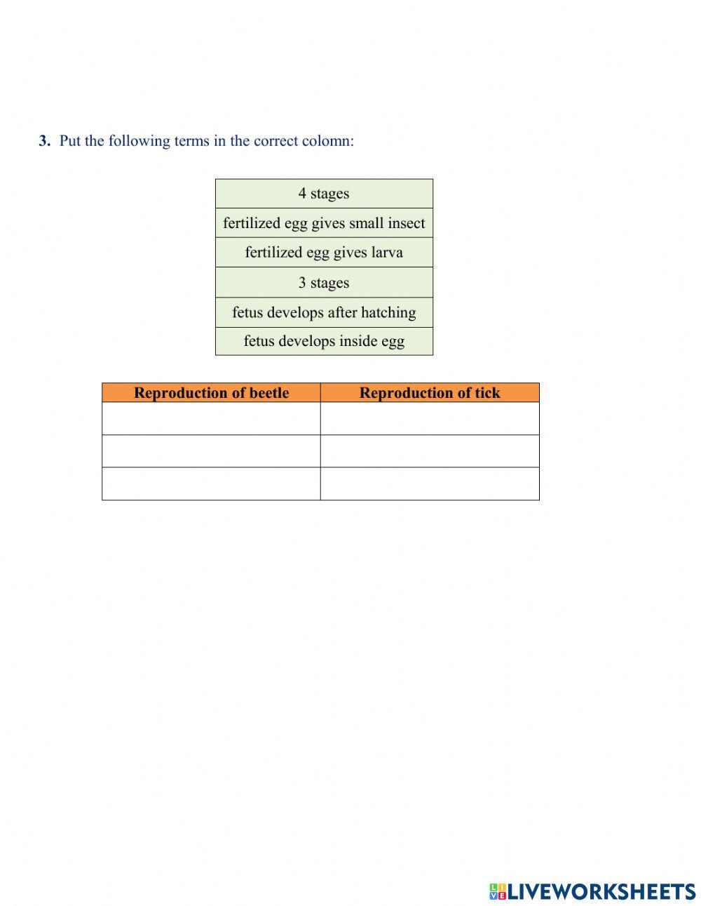 W6 - G6 - Sc.2 - Int. WS