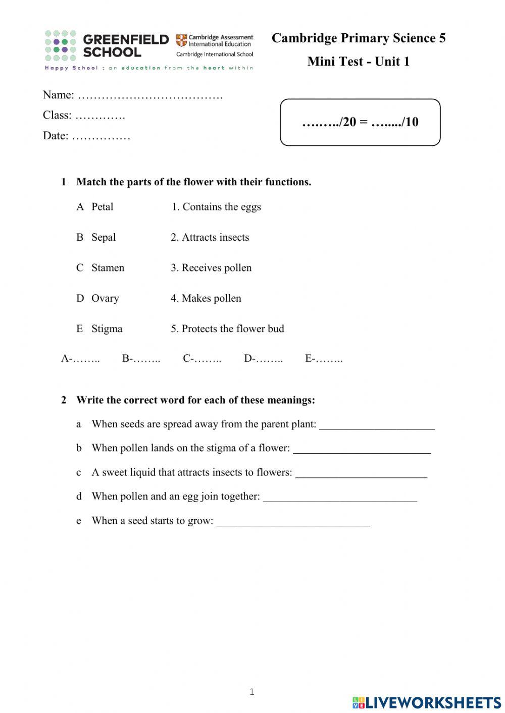 CPS5-Unit 1-Mini test