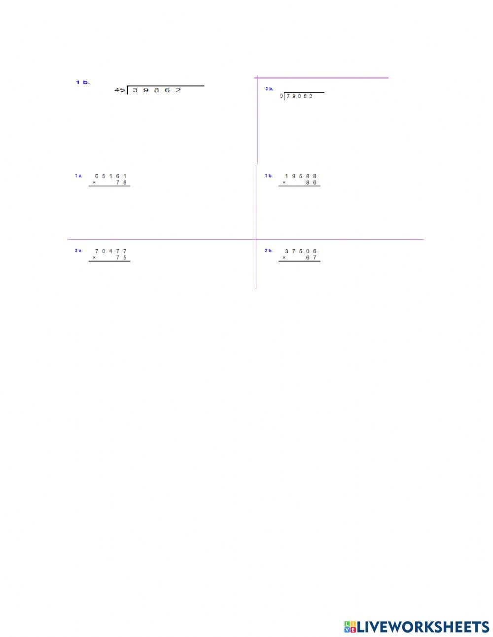 división y multiplicación 