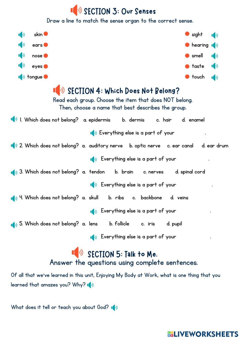Enjoying God's World: Unit 1 Test