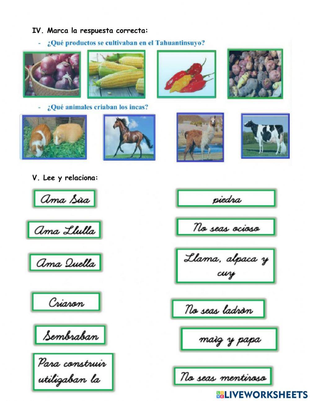 Examen de personal social