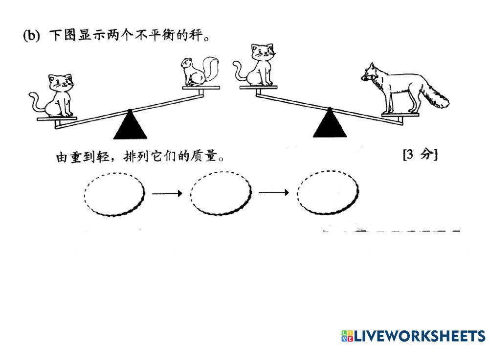 度量衡 逻辑思维题