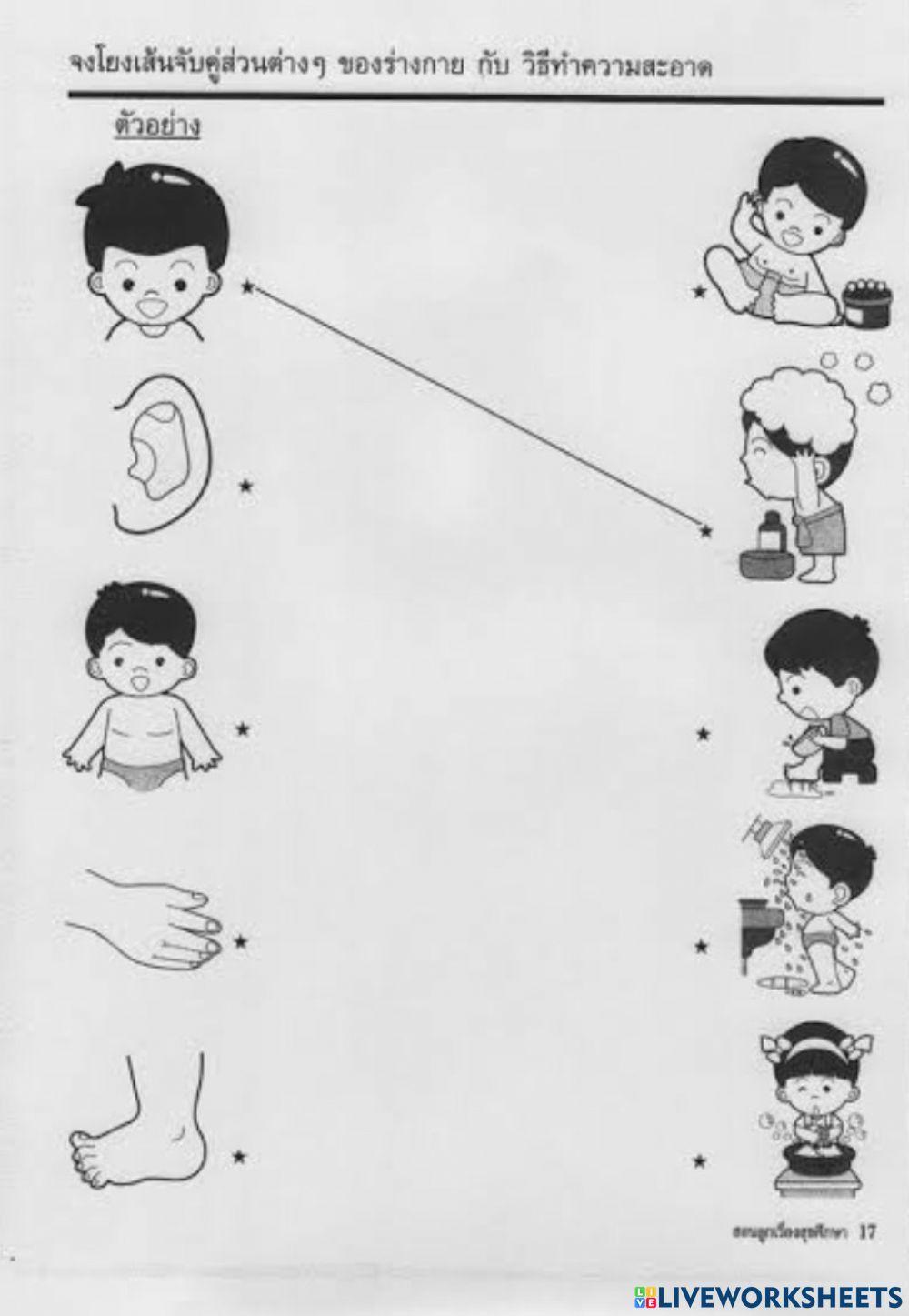 ส่วนต่างๆของร่างกายเเละวิธีทำความสะอาด