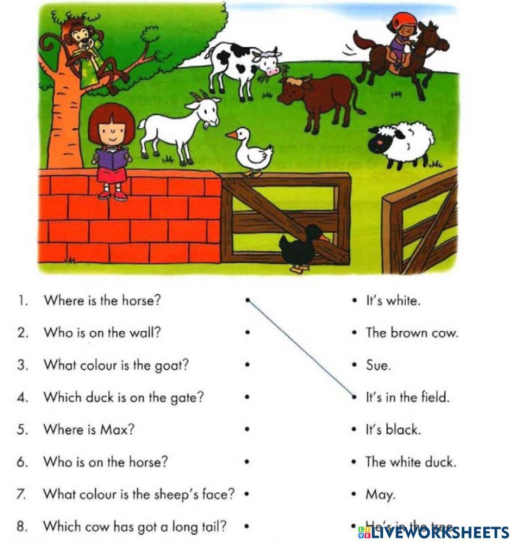 Reading comprehension