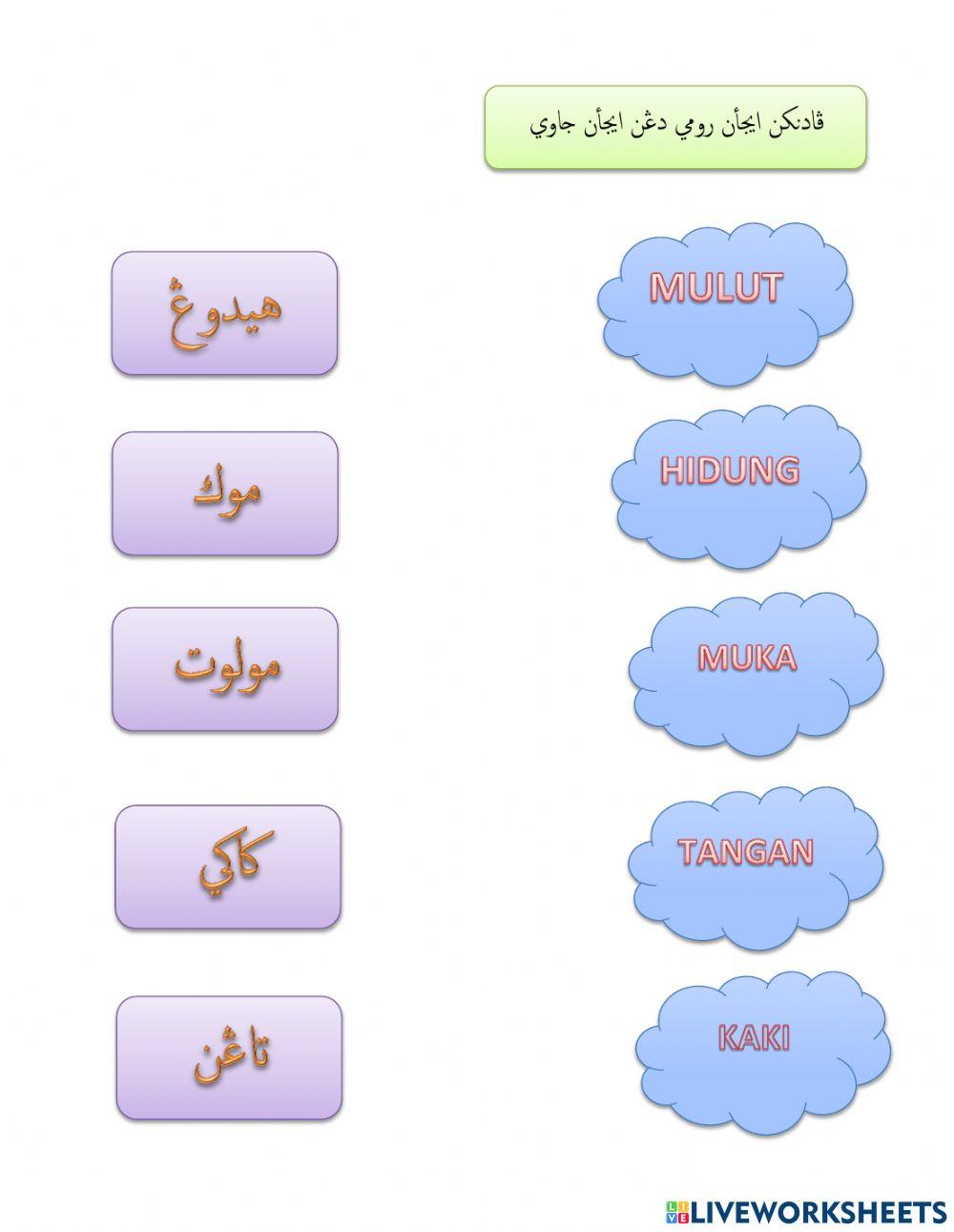 Anggota Wudhu dan Rahsianya