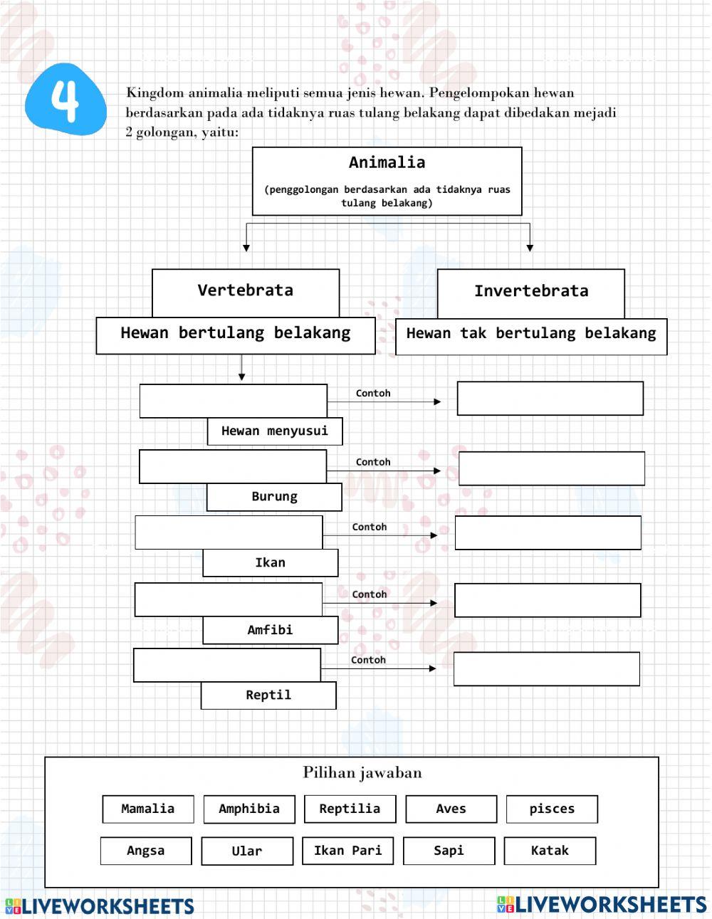 Studeny Worksheet IPA