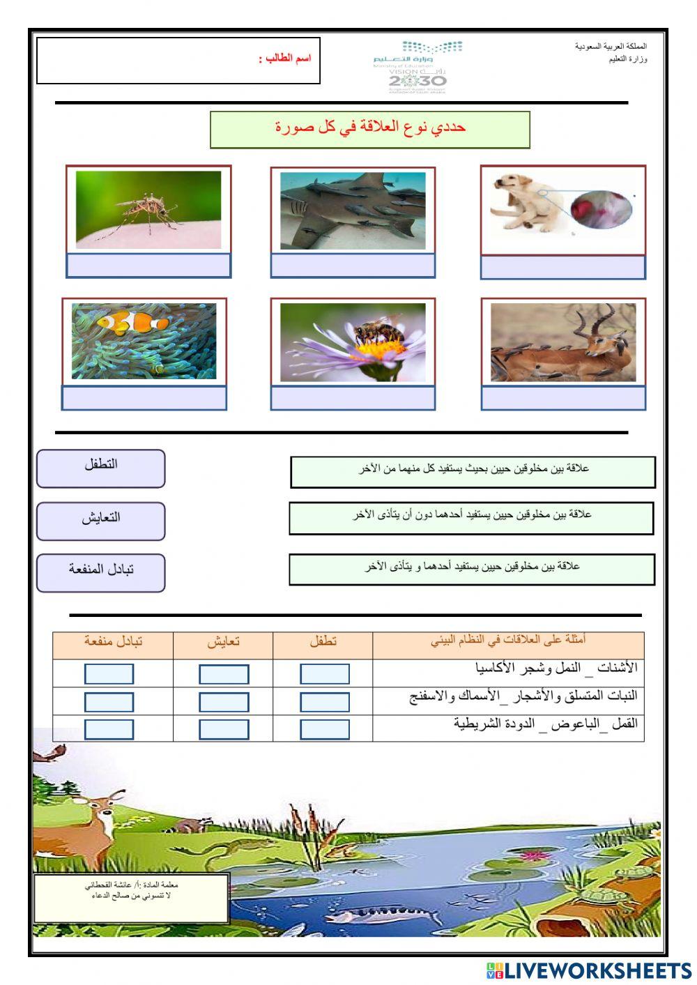 العلاقات في الأنظمة البيئية -3