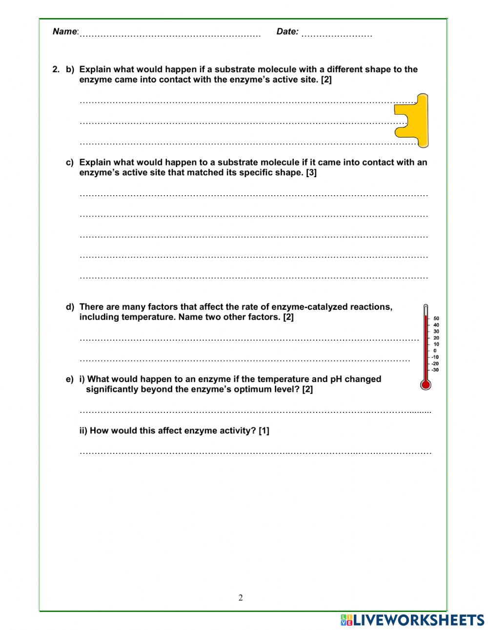 Properties of Enzymes