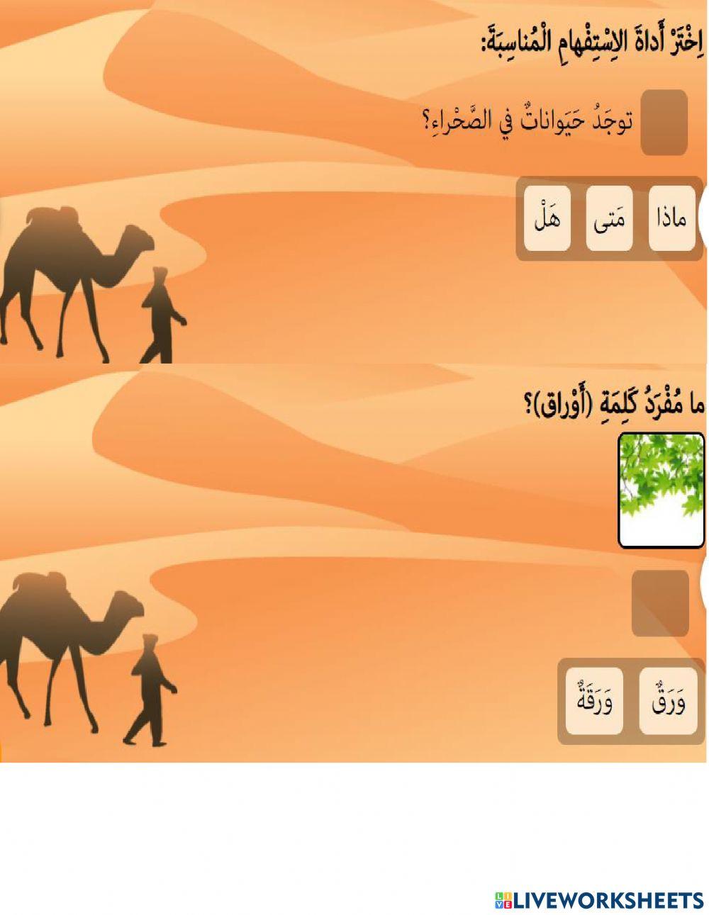 الحياة في الصحراء