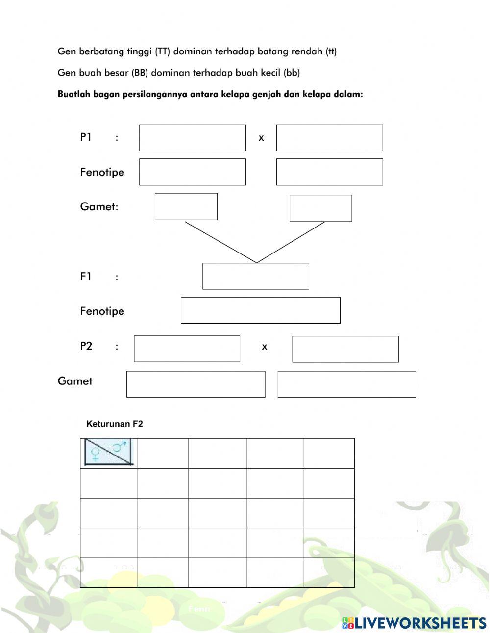 Persilangan dihibrid