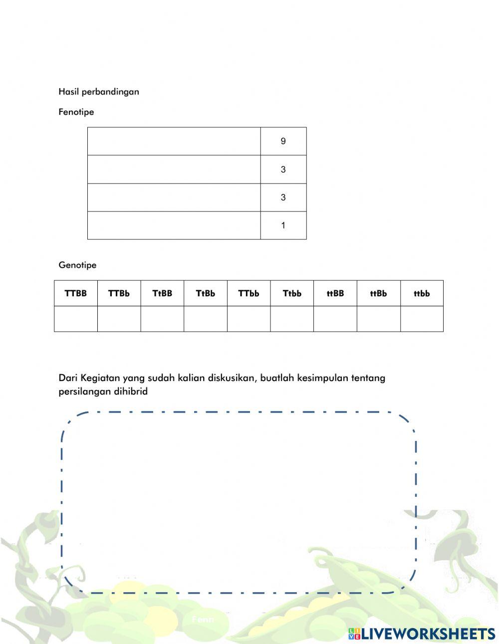 Persilangan dihibrid