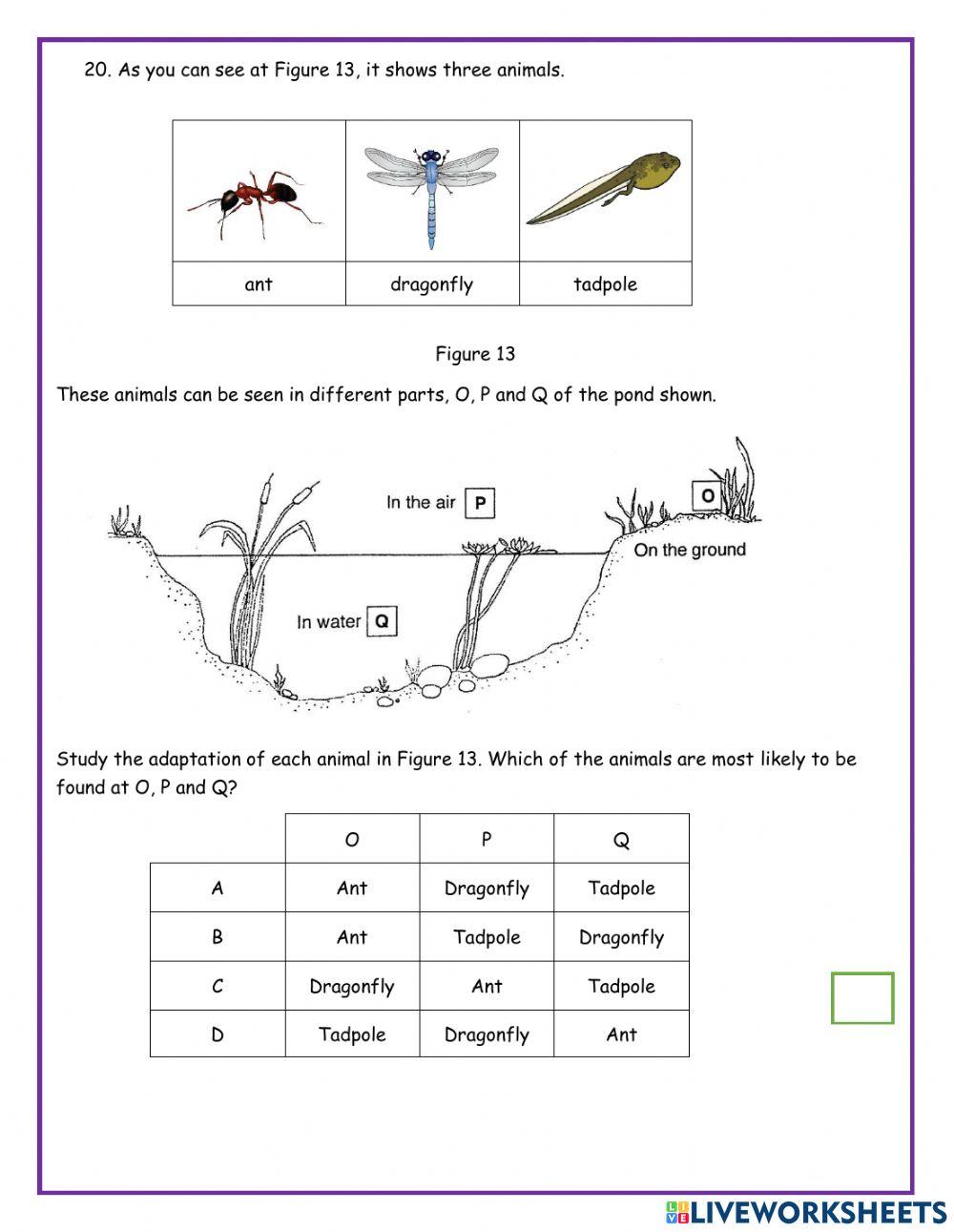PSR Science Paper 1 (Part 1) 2019
