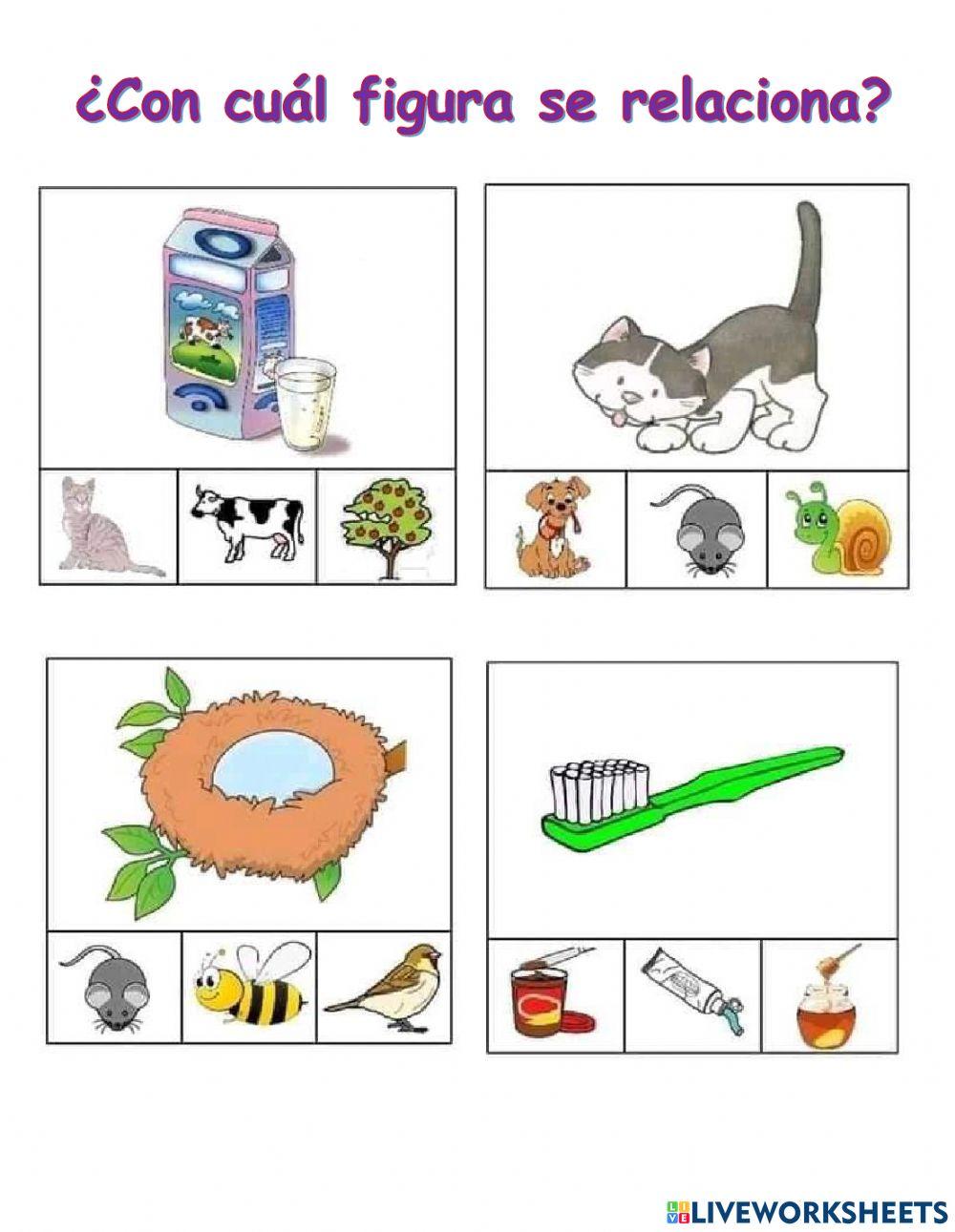 ¿Con cual figura se relaciona?