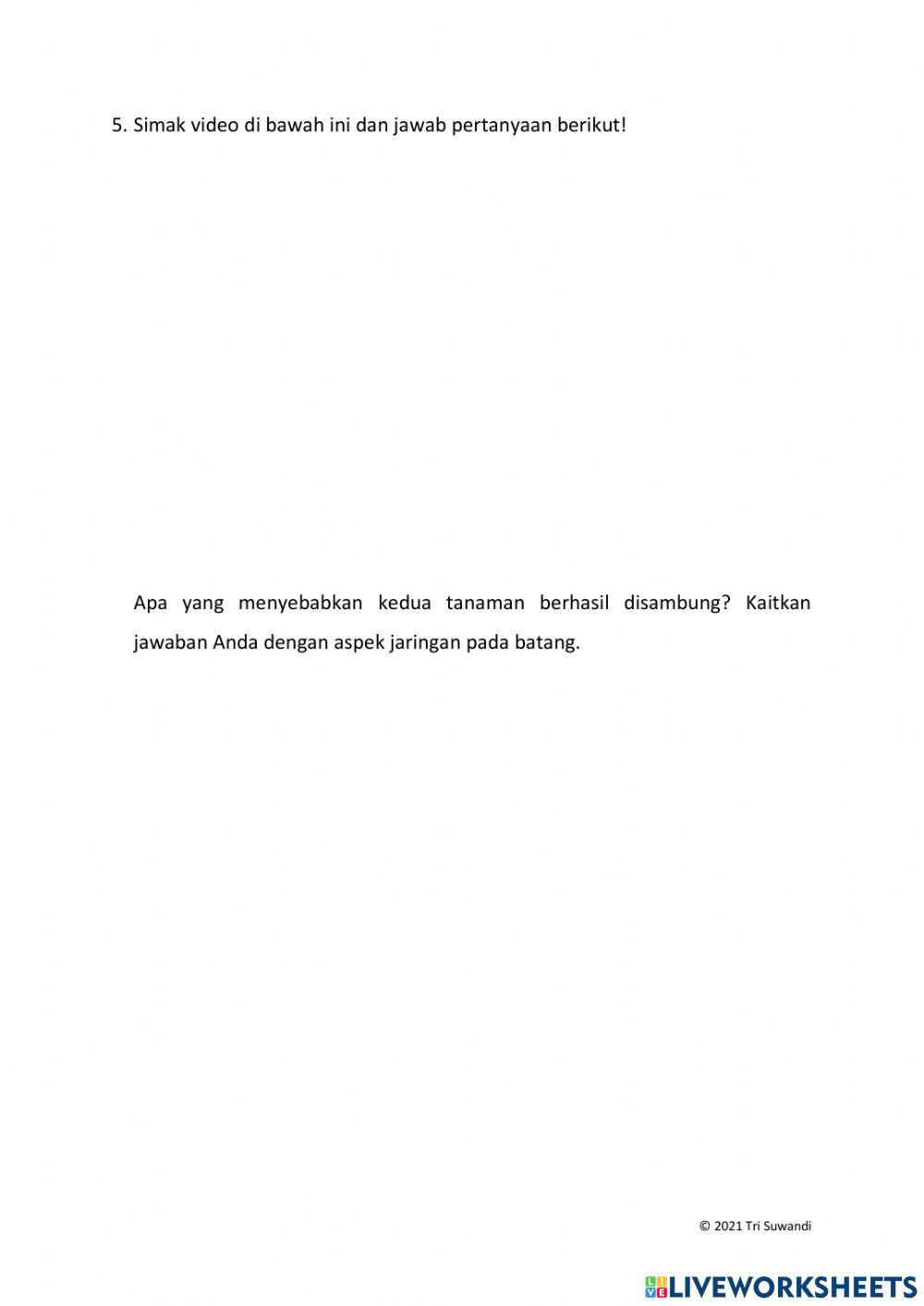 Ilmu Pengetahuan Alam (IPA)