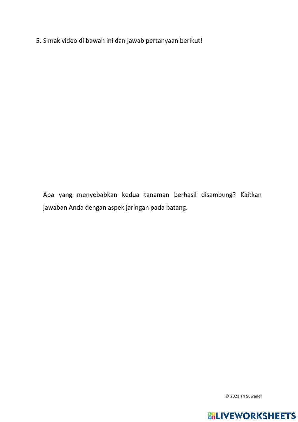 Organ dan Jaringan Tumbuhan