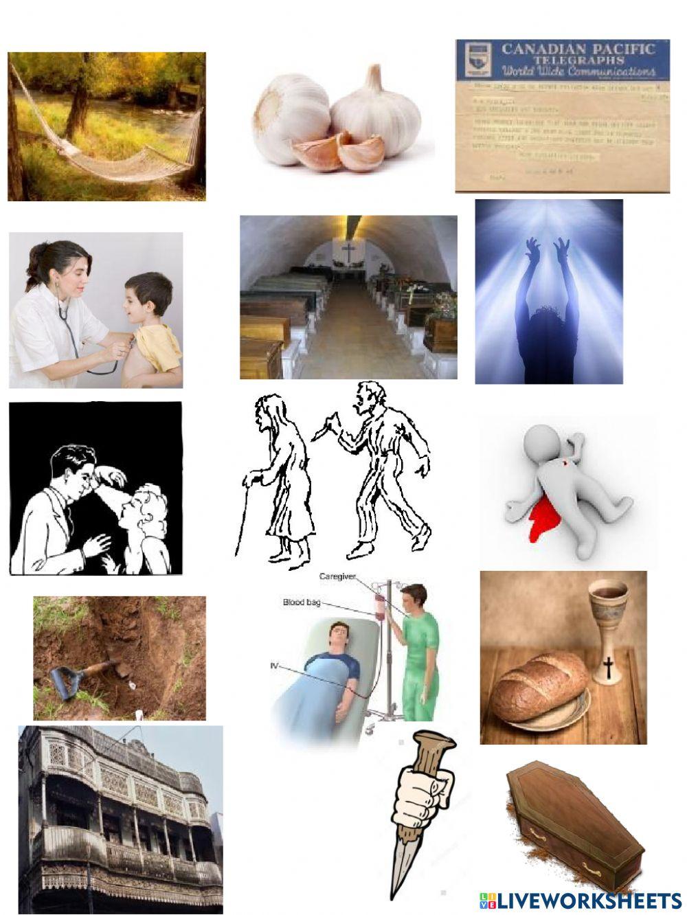 Dracula Vocabulary -3