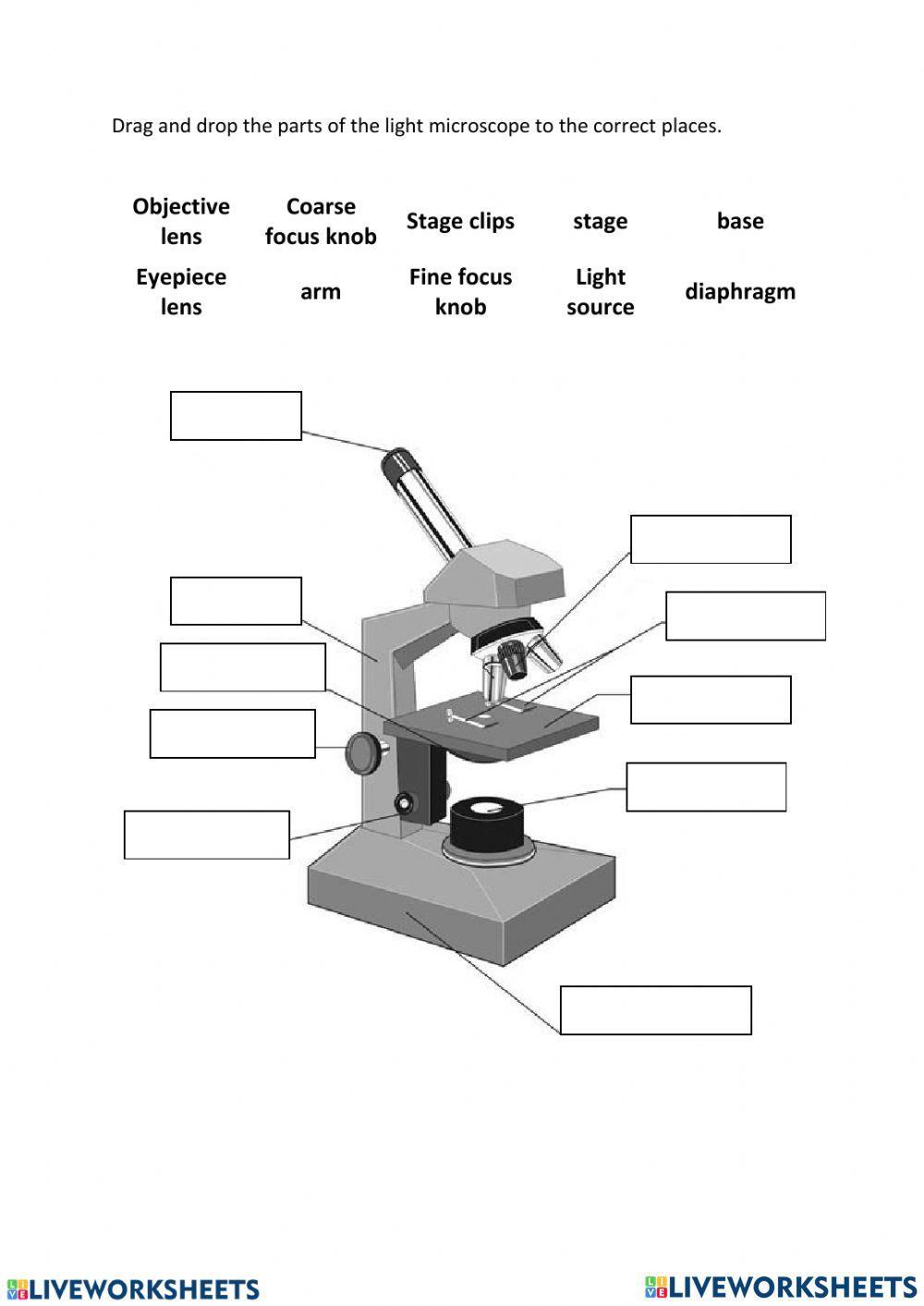 Parts Of A Microscope Worksheet