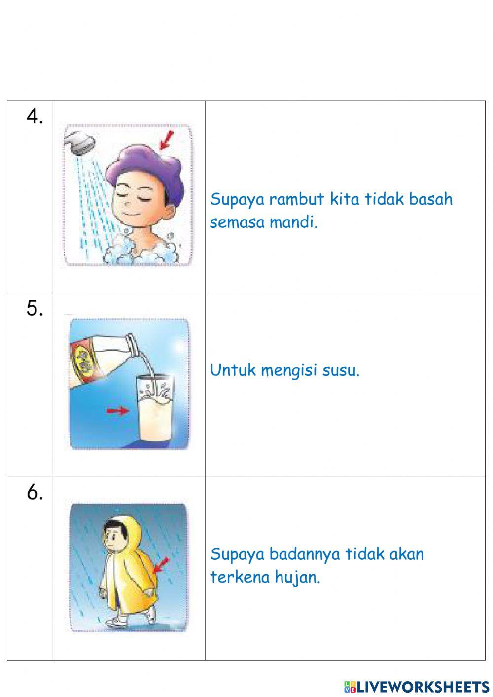一年级吸水和不吸水的物体
