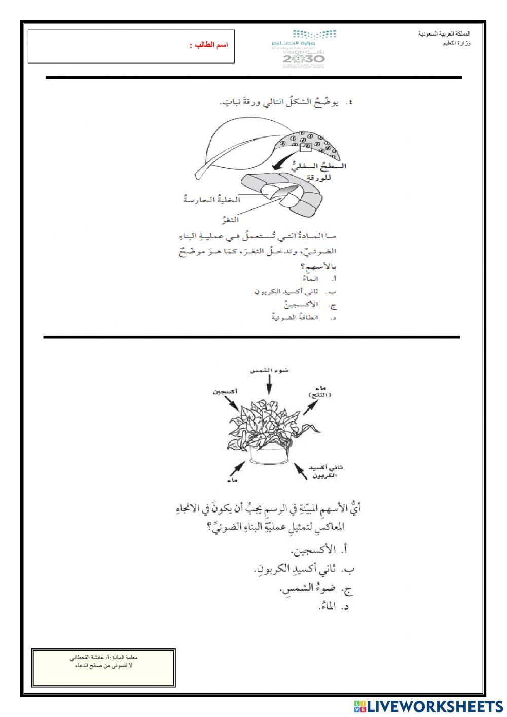 تمرين من دليل تقويم الطالب -درس الورقة