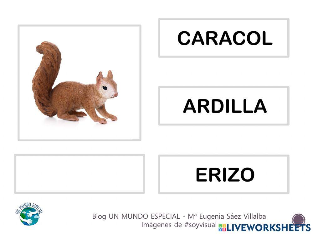 Lectura global - El otoño I - Blog un mundo especial