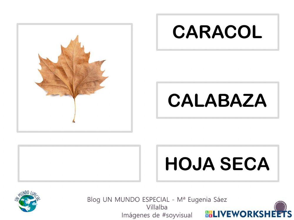 Lectura global - El otoño I - Blog un mundo especial
