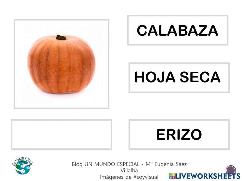 Lectura global - El otoño I - Blog un mundo especial