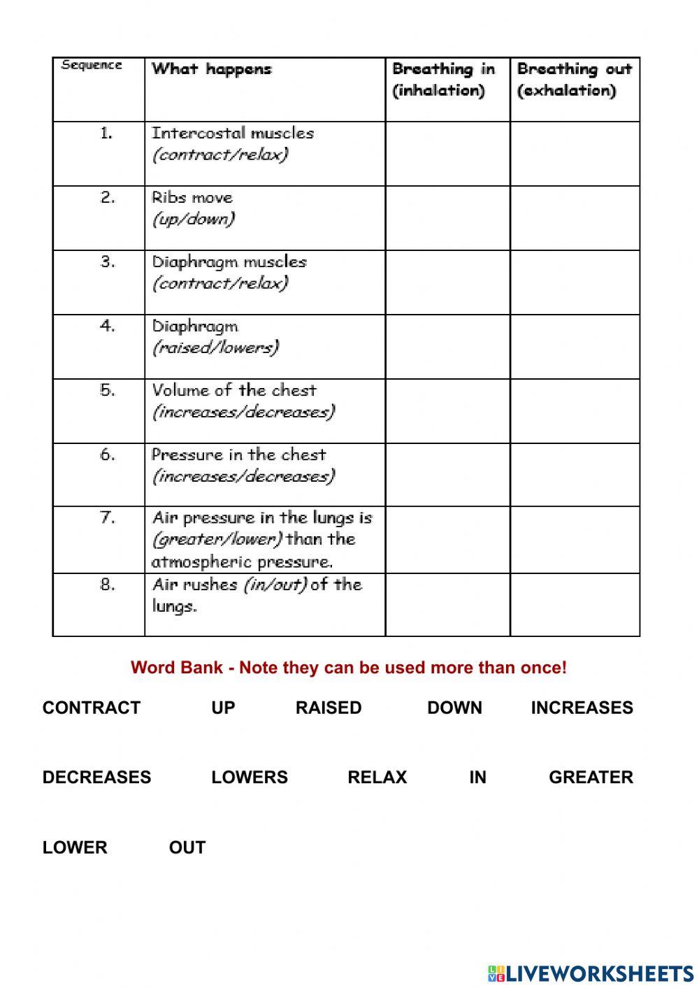 What happens when we breathe?