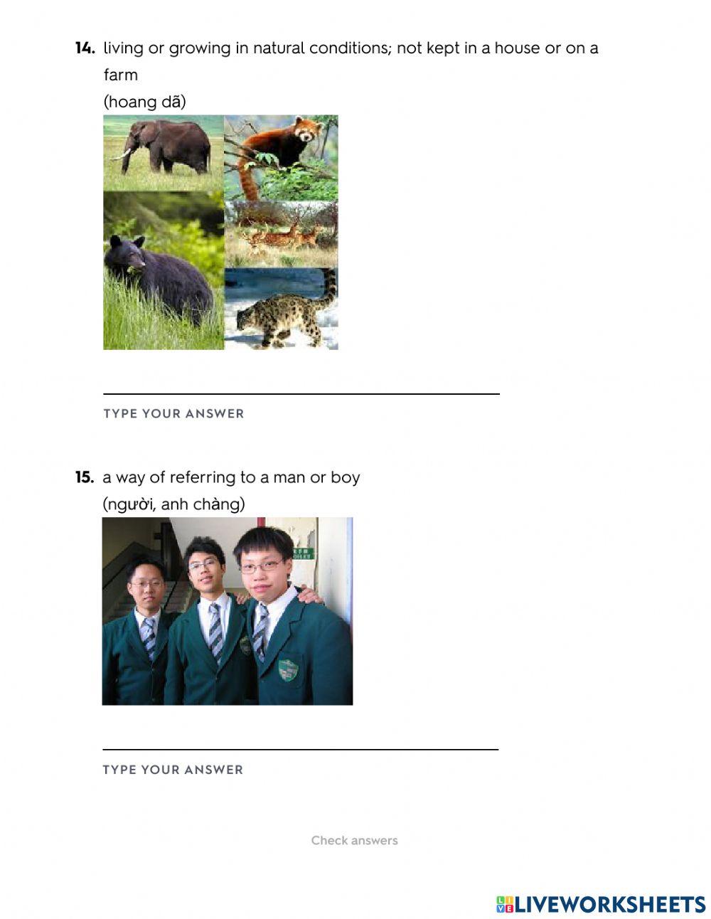 J6A Unit 4 Vocabulary