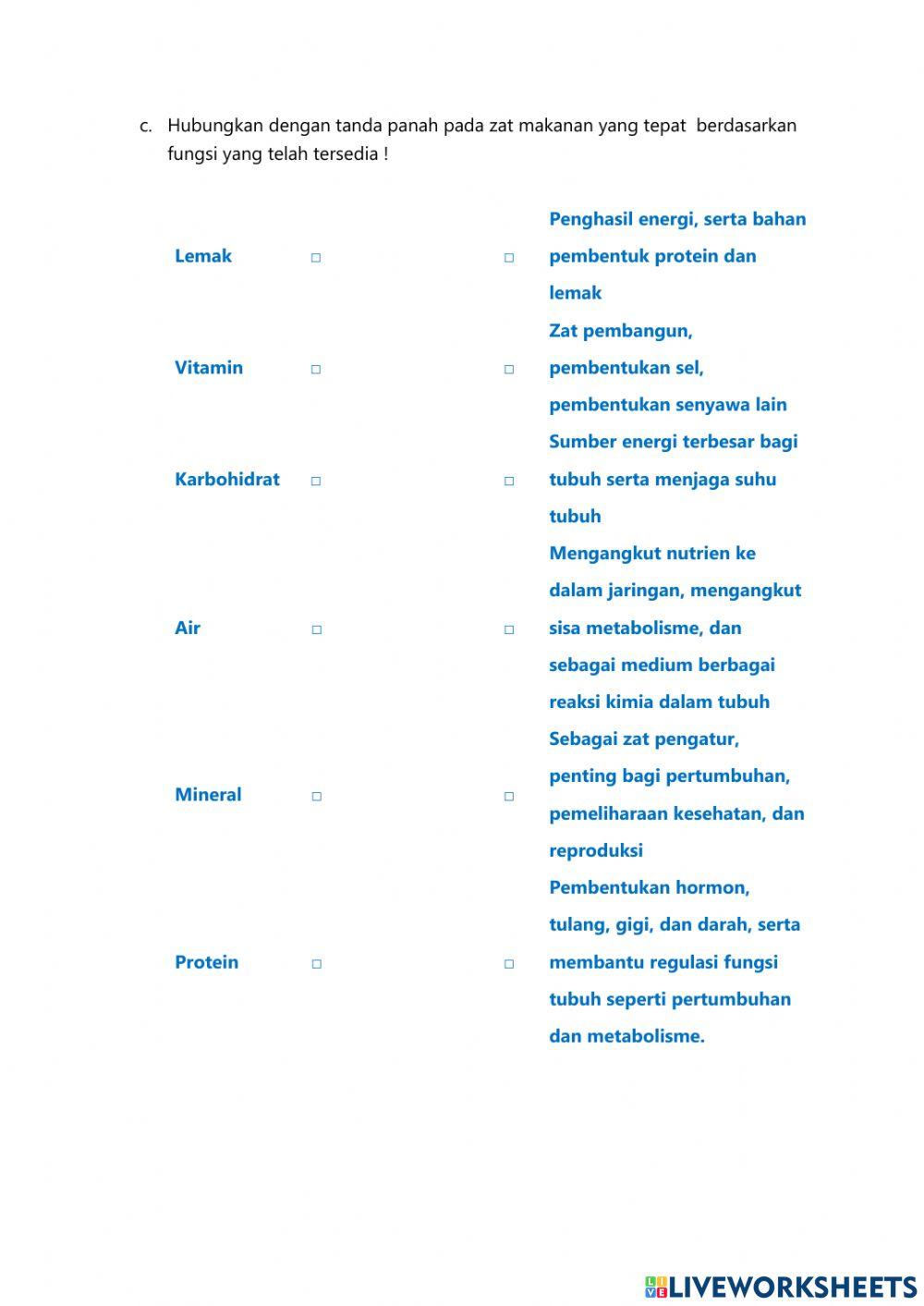 Live Worksheet Sistem Pencernaan pada Manusia