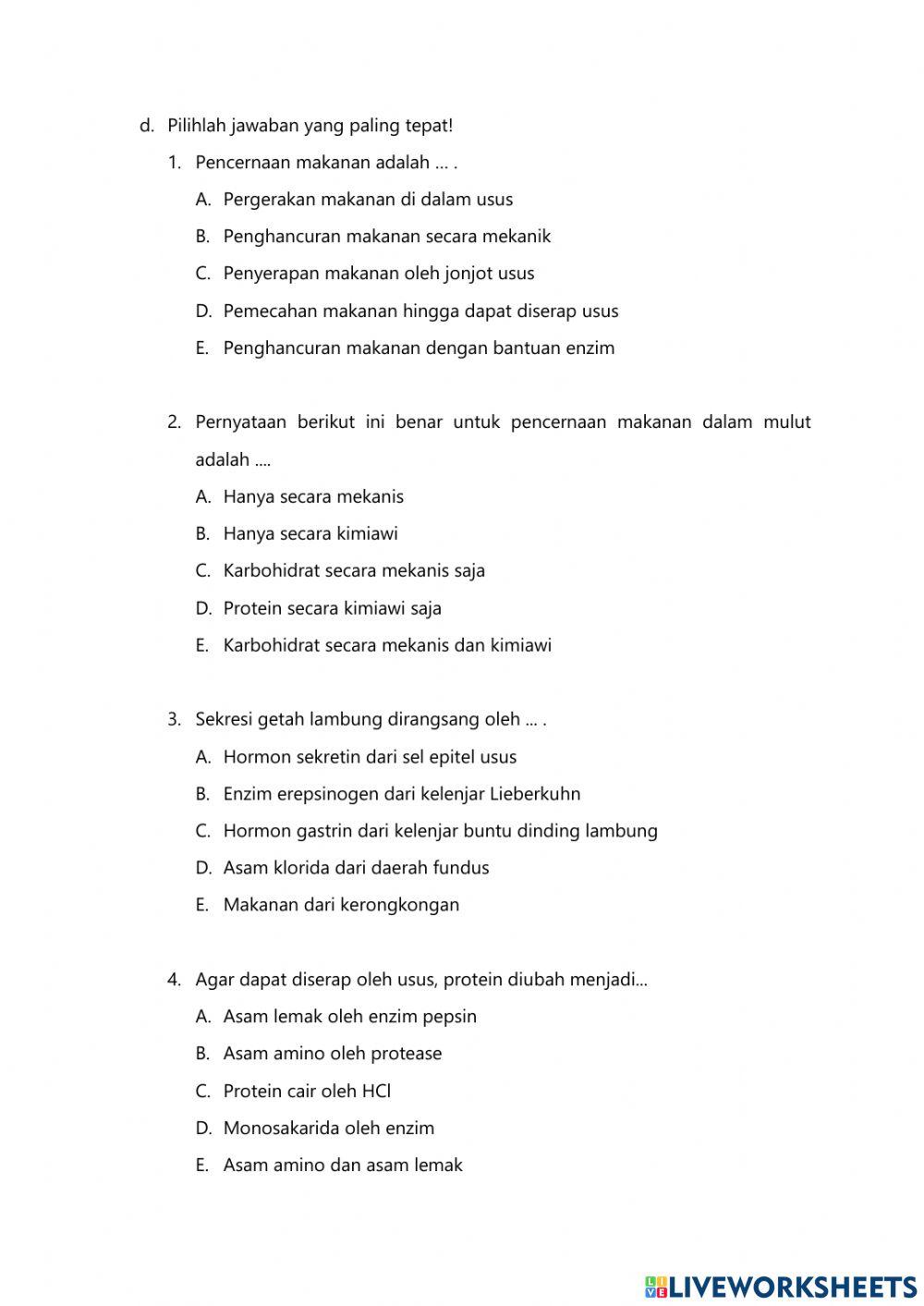 Live Worksheet Sistem Pencernaan pada Manusia