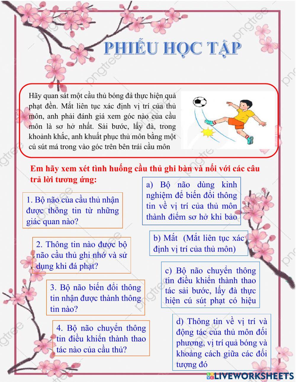 Phiếu học tập số 1
