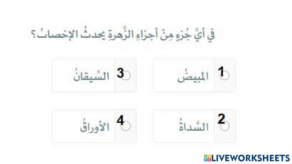 درس 29 - الاخصاب والانبات