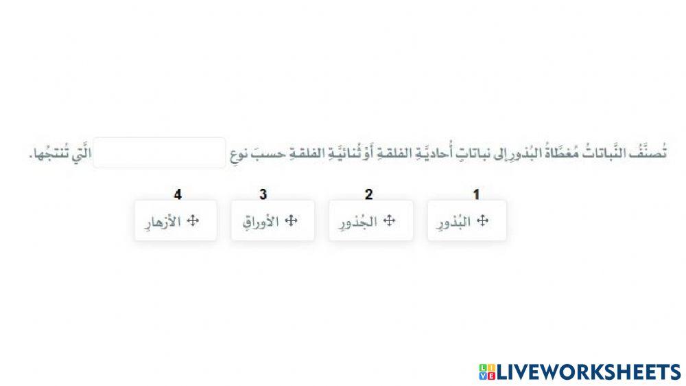 درس 29 - الاخصاب والانبات