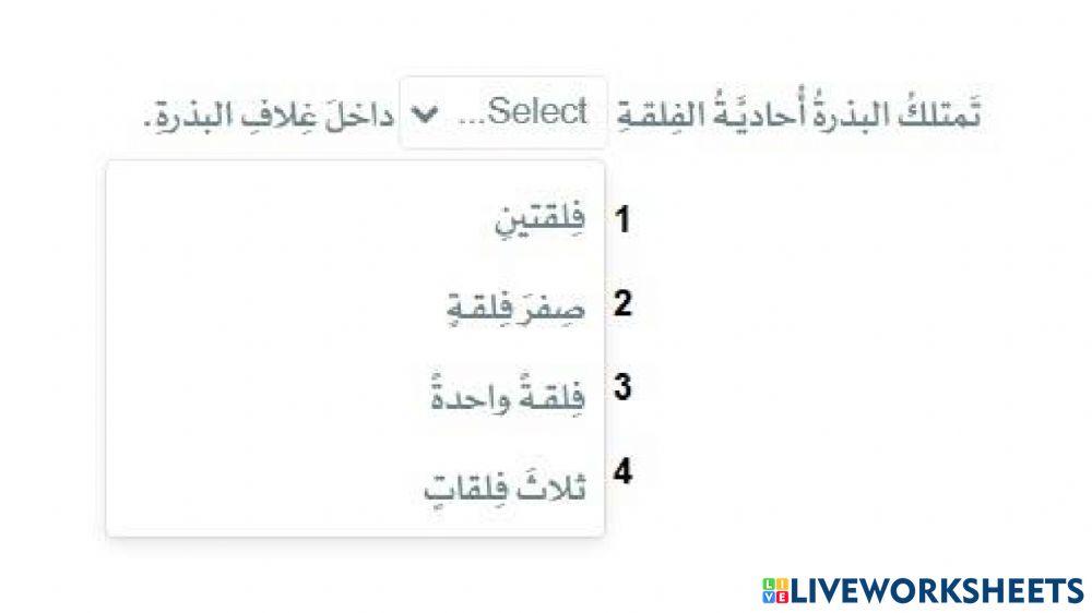 درس 29 - الاخصاب والانبات
