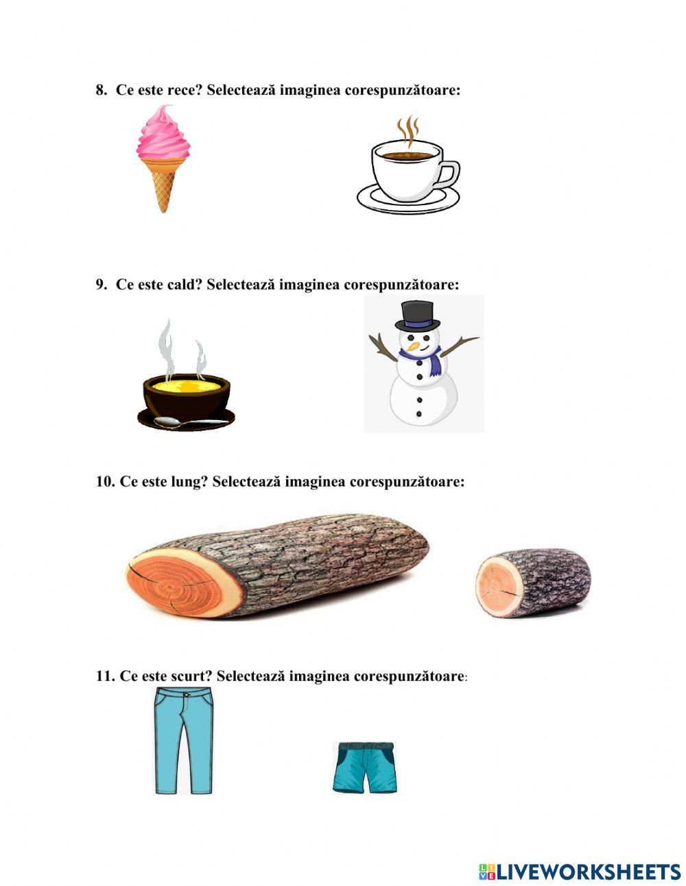 Evaluarea structurior perceptiv motrice