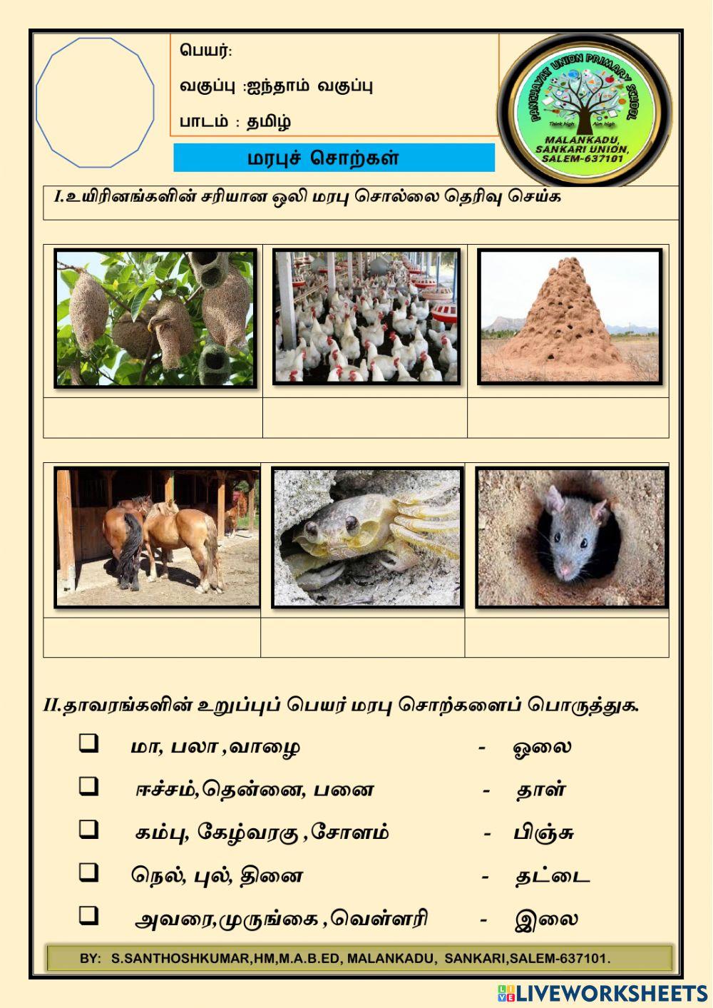 V tamil -quiz -13 V tamil -quiz -13
