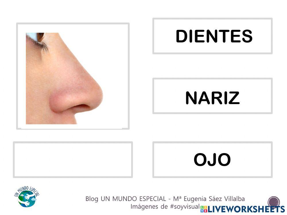 Lectura global - El cuerpo I - Blog un mundo especial