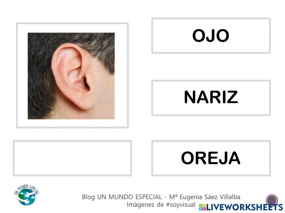 Lectura global - El cuerpo I - Blog un mundo especial