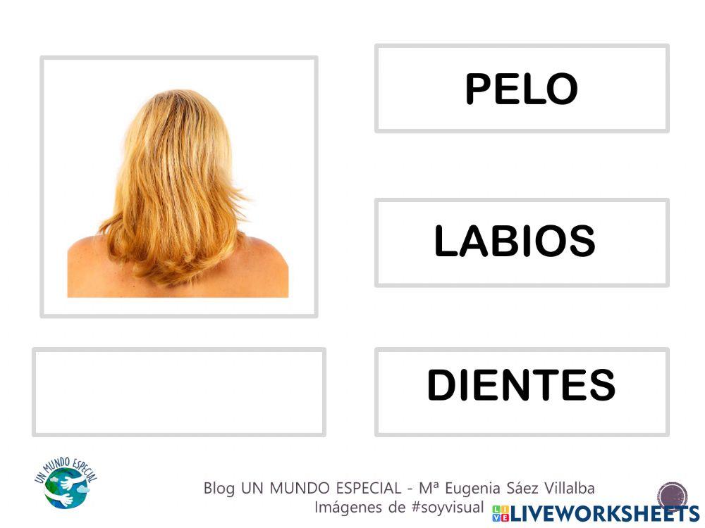 Lectura global - El cuerpo I - Blog un mundo especial