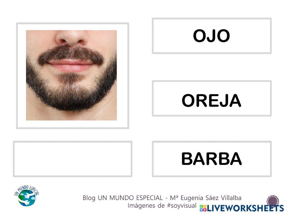 Lectura global - El cuerpo I - Blog un mundo especial