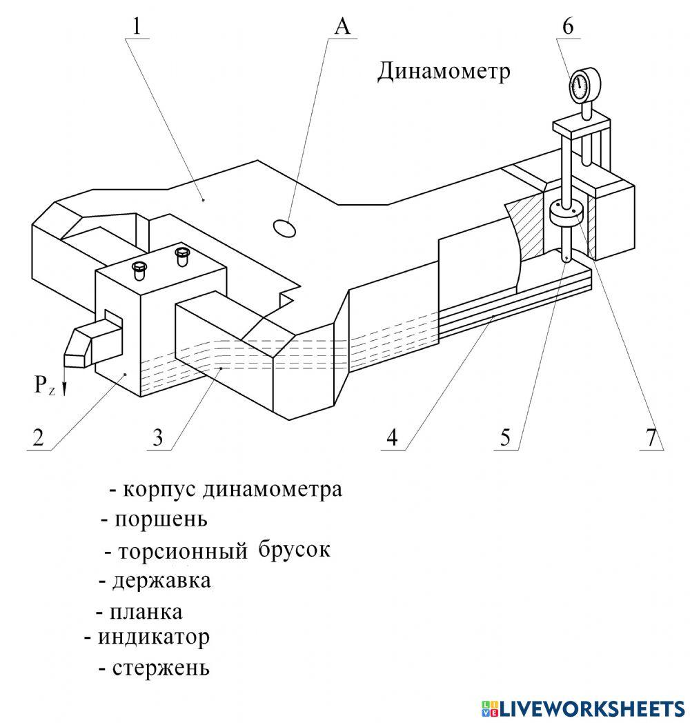 Чемерис Олена Андріївна