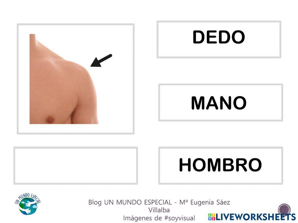 Lectura global - El cuerpo II - Blog un mundo especial