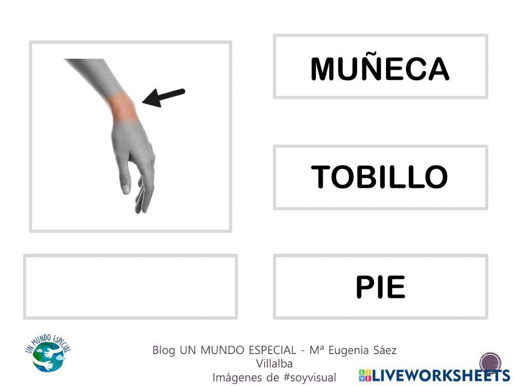 Lectura global - El cuerpo II - Blog un mundo especial