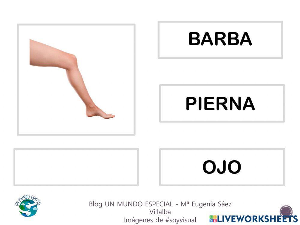 Lectura global - El cuerpo III - Blog un mundo especial