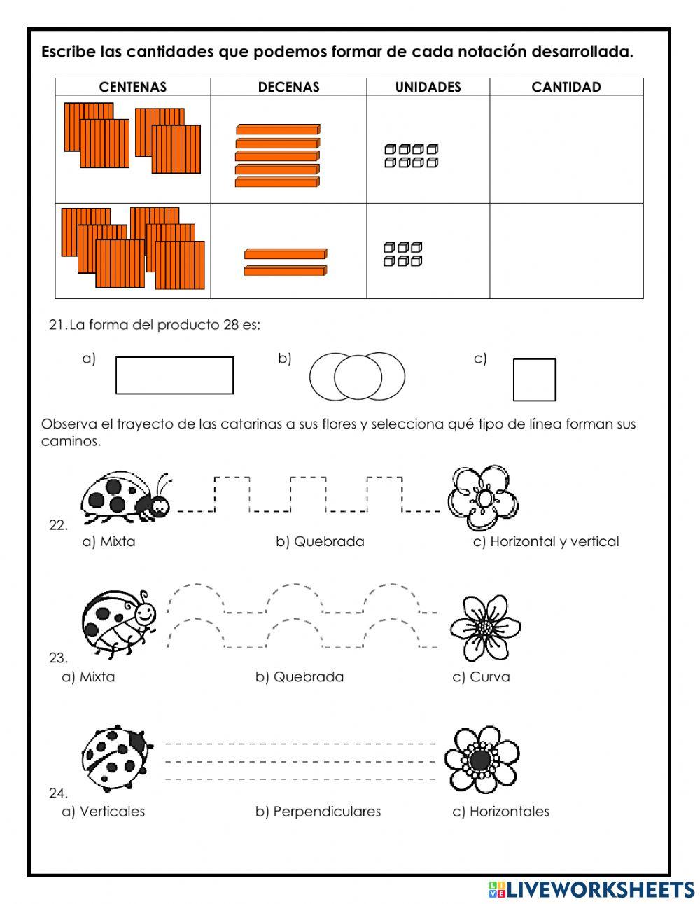 Cuestionario Matemáticas 1°