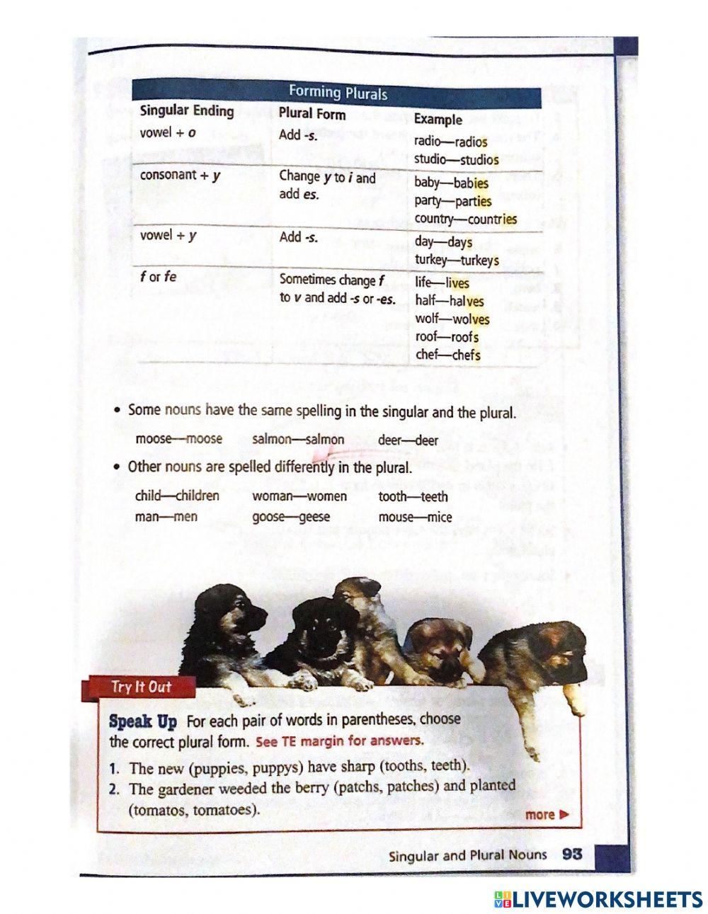 Singular and Plural Nouns grade 6